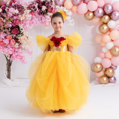 Belle Inspired Dress