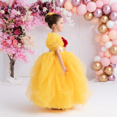 Belle Inspired Dress