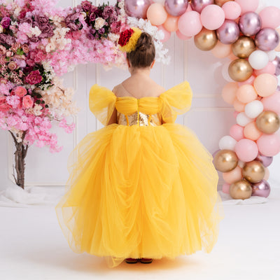 Belle Inspired Dress