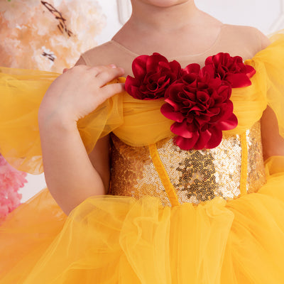 Belle Inspired Dress