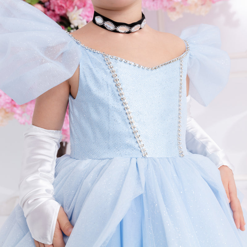 Cinderella Inspired Dress